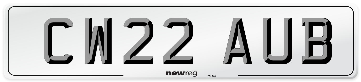 CW22 AUB Number Plate from New Reg